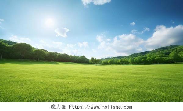 蓝天下的草地绿色草地春天清新风景美丽的大自然青草植物